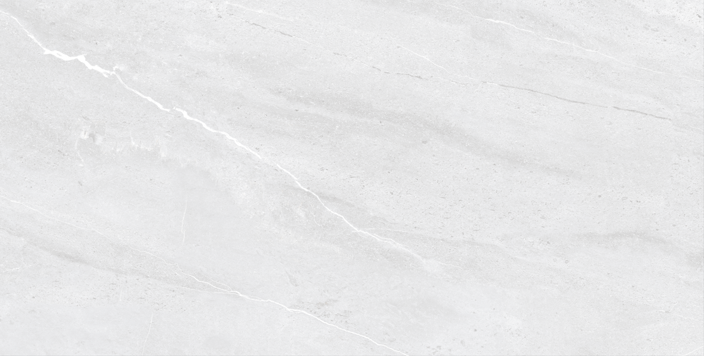 Gresie - Foxin white - Mat - 60x120