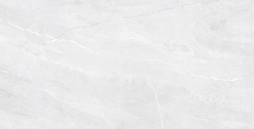 Gresie - Foxin white - Mat - 60x120