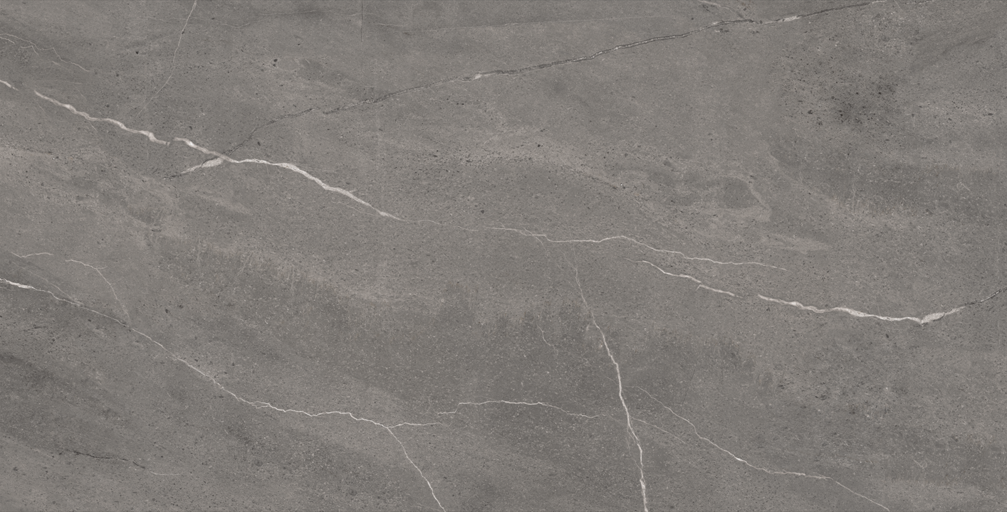 Gresie - Foxin Grey - Mat - 60x120